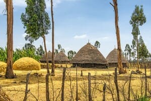 Jour 1 : Arrivée à Addis Abeba